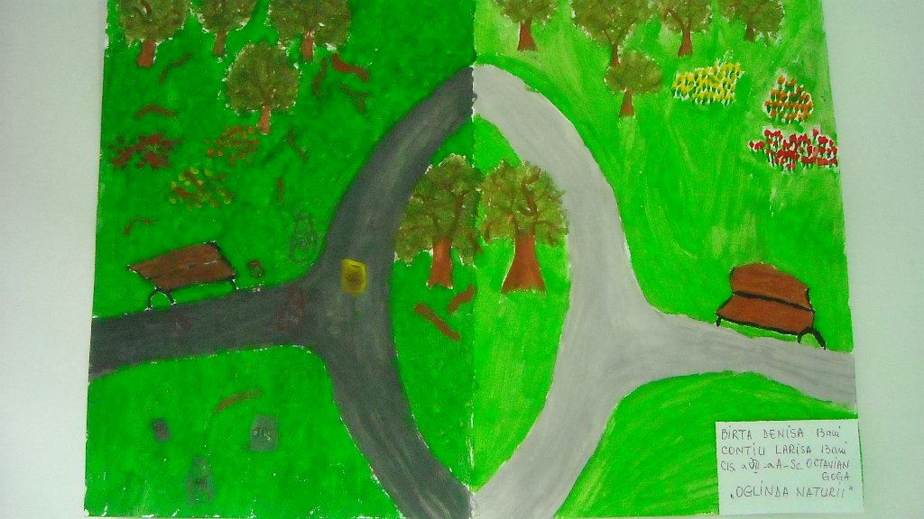 120_Birta D-Contiu L_Sc Goga BM.jpg